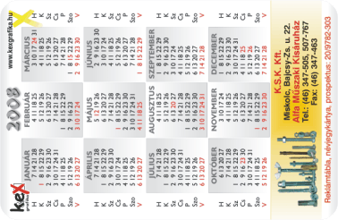 K�rtyanapt�r - 2008 - 009