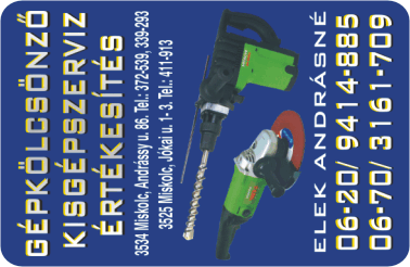 K�rtyanapt�r - 2008 - 006