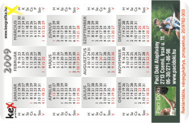 K�rtyanapt�r - 2009 - 020