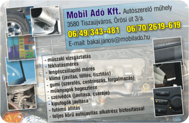 K�rtyanapt�r - 2009 - 026