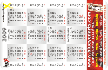 K�rtyanapt�r - 2009 - 031